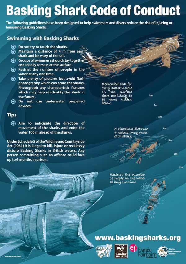 Basking Shark code of conduct